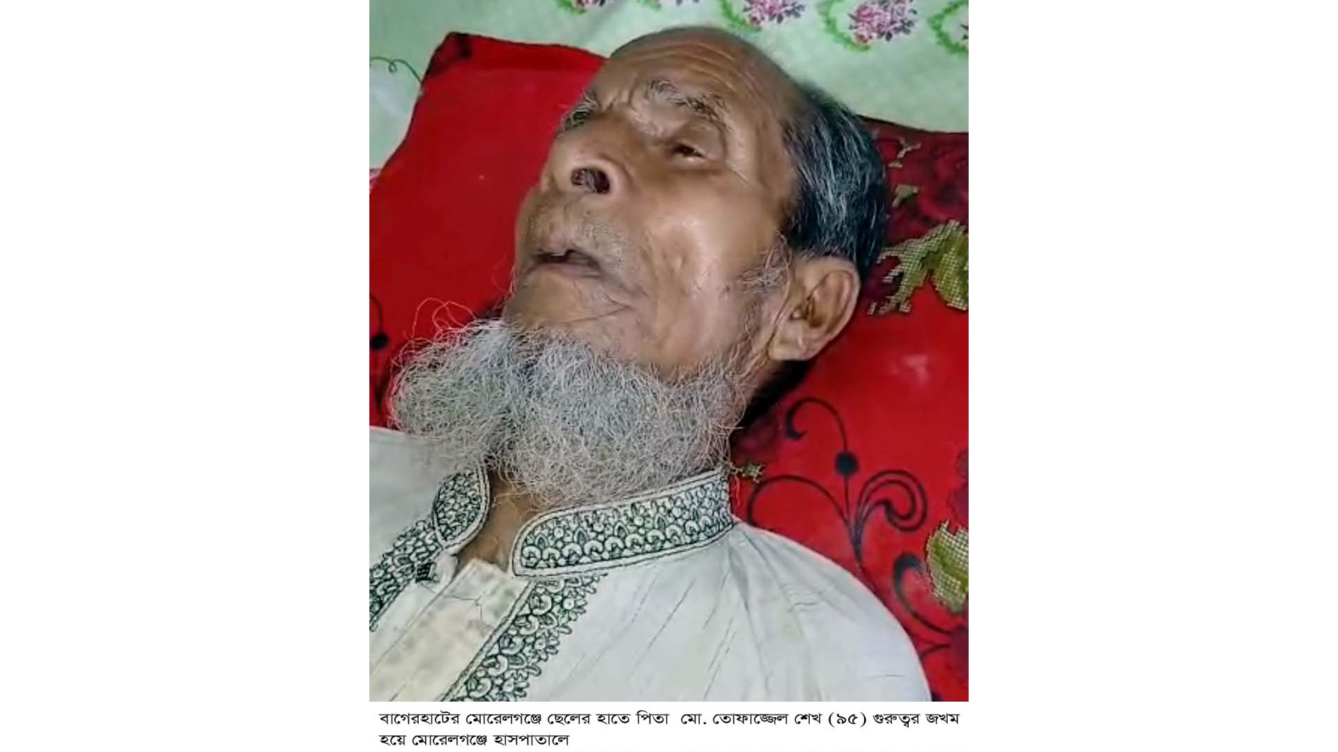 মোরেলগঞ্জে জমি বিরোধে ছেলের হামলায় বৃদ্ধ পিতা আহত